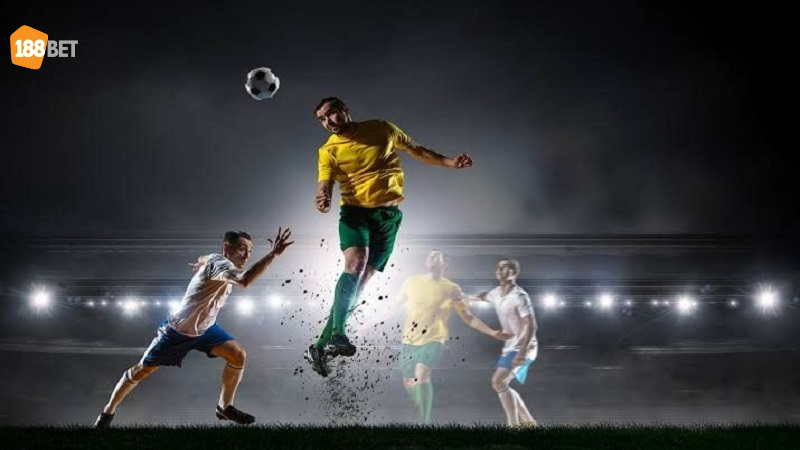 Tai sao nen lua chon BTI Spots Tại sao nên lựa chọn BTI Sports?