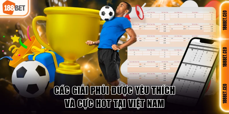 Các giải phủi được yêu thích và cực hot tại Việt Nam