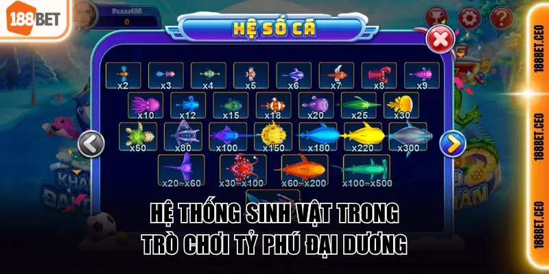 he thong sinh vat trong ty phu dai duong Hệ thống sinh vật trong Tỷ Phú Đại Dương