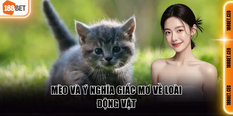 Mèo và ý nghĩa giấc mơ về loài động vật